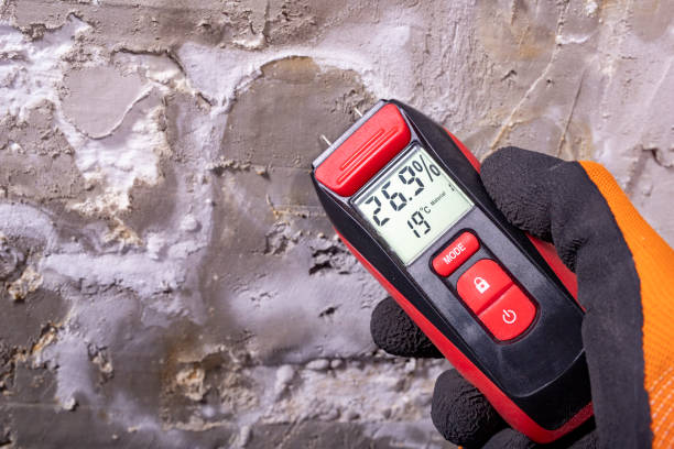 Best Mold Remediation Services  in Patrick Af, FL
