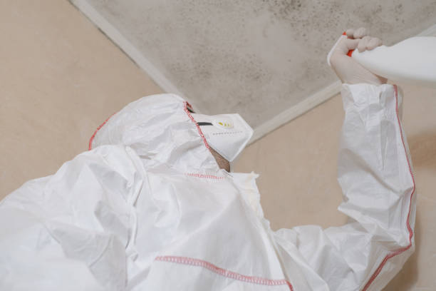 Best Mold Remediation Services  in Patrick Af, FL