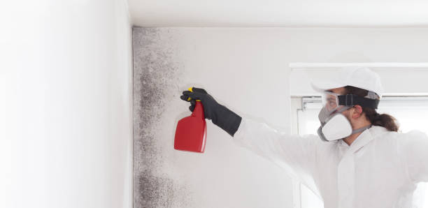 Best Residential Mold Removal  in Patrick Af, FL